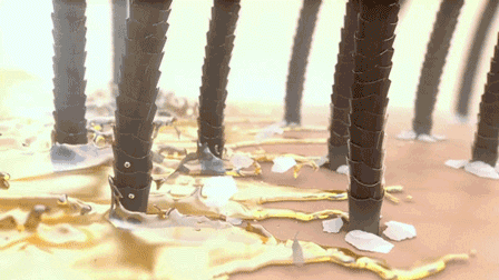 640 (4).gif