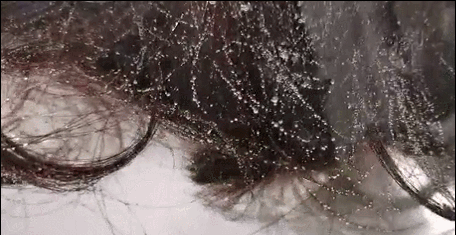 115.gif